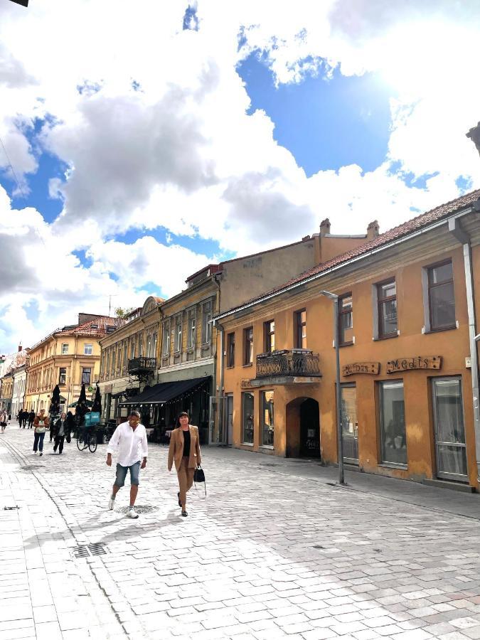 Stylish Apartment In The Heart Of Kaunas Old Town ภายนอก รูปภาพ
